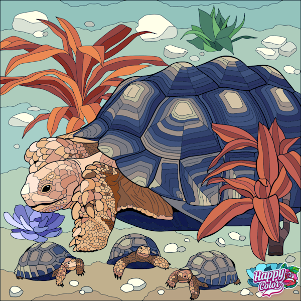 Schildpad &ndash; &Chi;&epsilon;&lambda;ώ&nu;&alpha;